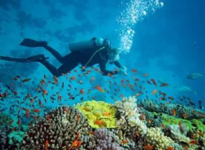 Dwarka - Somnath Tour with Water Sport Activities