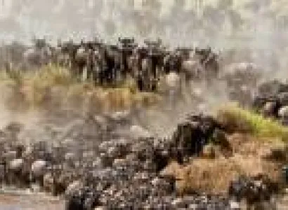 1 Day Lake Nakuru Budget And Luxury Tour Package