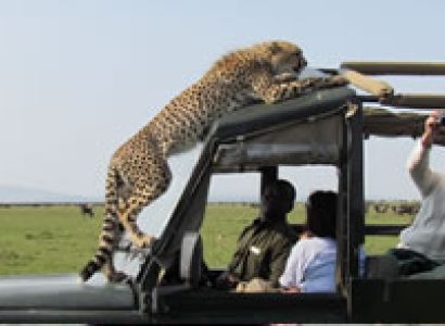 2 Days Masai Mara Budget And Luxury Tour Package