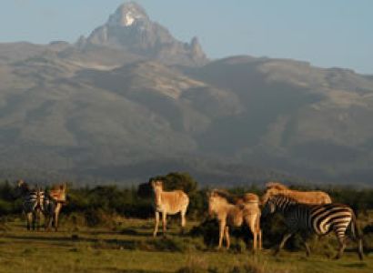 5D Samburu - Mount Kenya - Lake Nakuru - Masai Mara Budget - Luxury Safari Tour