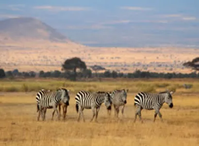 5D Tsavo East - Taita Sanctuary - Tsavo West - Amboseli Budget - Luxury Safari Tour From Mombasa