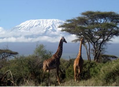 3D Tsavo East - Amboseli Budget - Luxury Tour From Mombasa Ending Nairobi