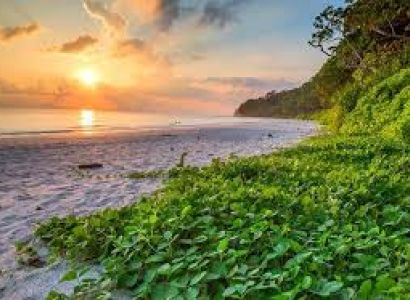 4 Night And 5 Days Package