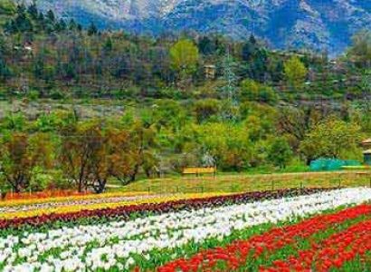Charming Paradise Kashmir Tour