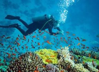 Andaman Tour