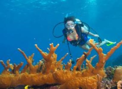 9 Days Andaman Tour