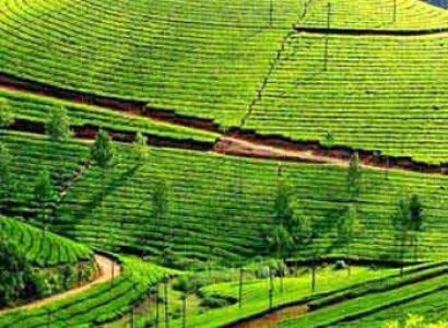 Munnar - Alleppey Houseboat Tour