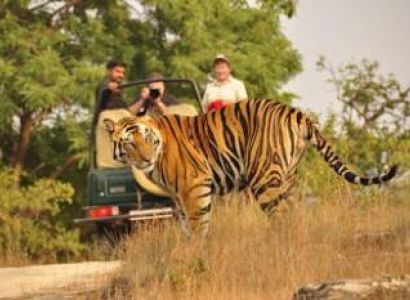 Rajasthan Palace Classic Tour