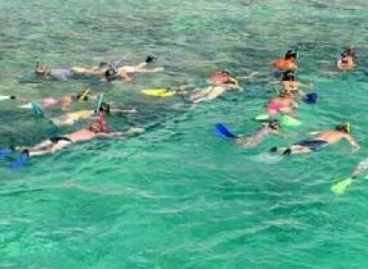 Group Standard Packages