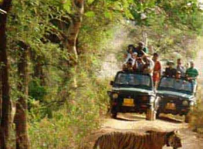 Nainital - Corbett - Ranikhet - Kausani Tour