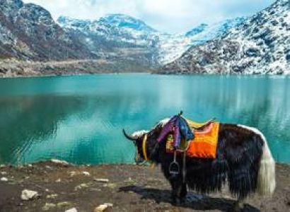 Splendour Himalayan – Gangtok Tour
