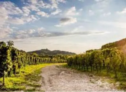 8 Days Tour in Georgia ( Wine Tour )