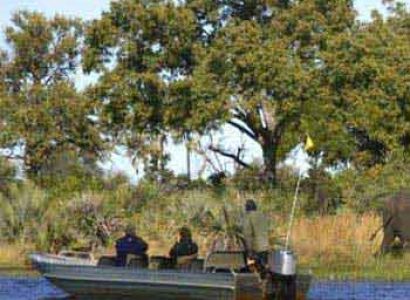 3 Days Selous Camping Safari Tour