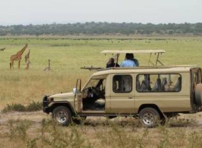 1-Day Akagera National Park Safari