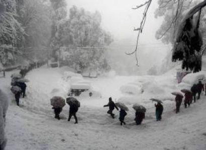 Snow White Himachal with Punjabi Touch Tour