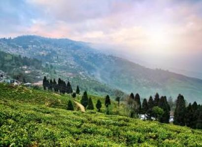 Assam Tour Package from Kolkata