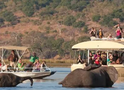 Chobe Day Trip Tour