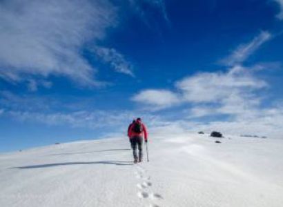 Dronagiri and Bagini Glacier Tour