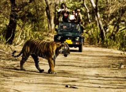 Nainital With Corbett 7 Days Tour