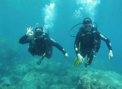 Scuba Diving (1 Night) Tour