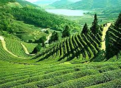 North East Tour Package