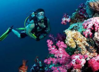 Scuba Diving Package with 5 People Tour