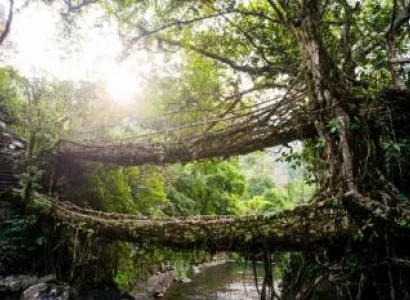 Shillong   – Day Trip to Cherrapunjee  + Guwahati  Tour