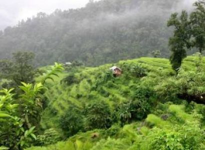 Gangtok  + Pelling  + Darjeeling Tour
