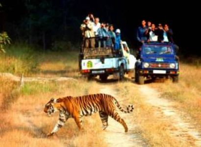 Jim Corbett Tour Package