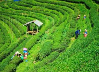 North East Tour Package Tour