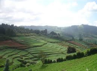 Ooty Tour Package