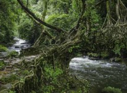 Guwahati, Shillong, Cherrapunjee, Mawlynnong Tour
