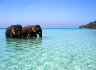 7 Days Andaman Tour