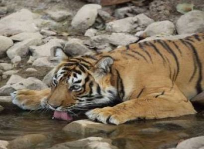 2 Nights & 3 Days of Wilderness Trip