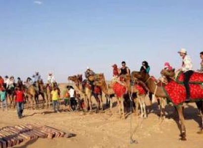 Family Golden Safari Tour