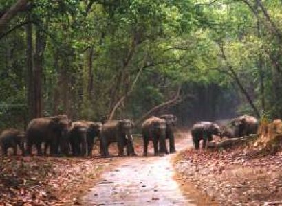 Corbett National Park Tour Packages 2 Nights / 3 Days