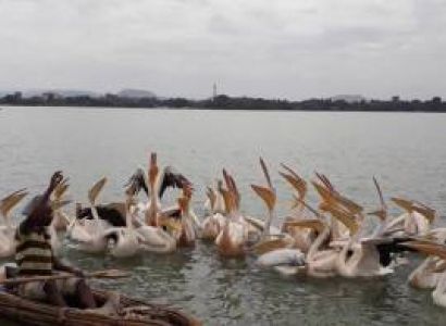 2 Nights and 3 Days Tour to Bahir Dar and Awra Amba Community