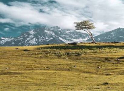 Explore all of Himachal Tour