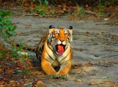 Unforgetable Uttrakhand Tour
