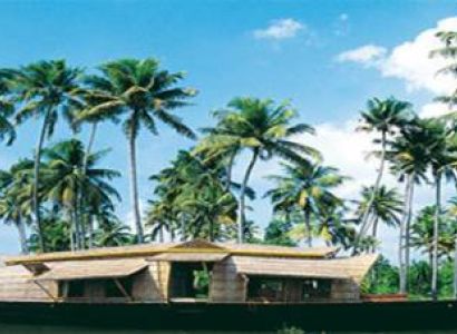 Discover Kerala