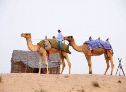 Historical Tour of Rajasthan