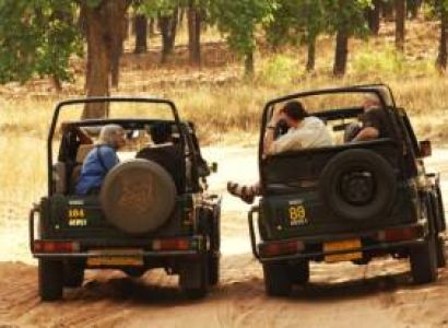 Ranthambore 2 Nights – Ex Jaipur Tour