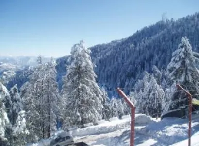 Shimla with Manali Tour 7 Days