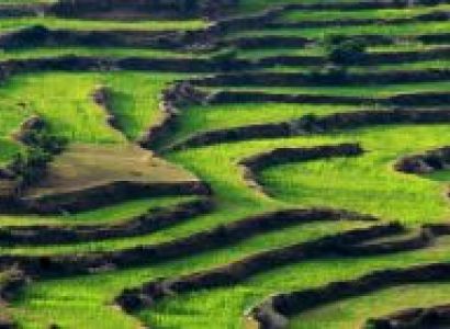 Nainital with Kausani Tour  06 Days