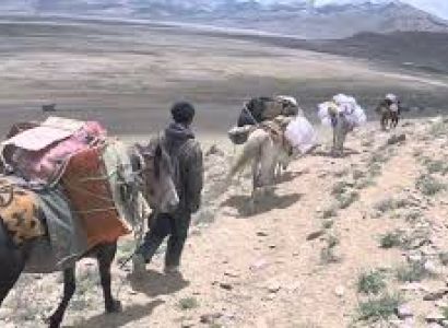 Rumtse – Tsomoriri Trek Tour