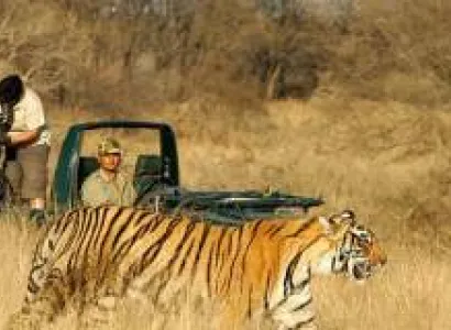 Taj Mahal with Tiger Tour