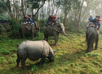 Gorakhpur To Chitwan Tour