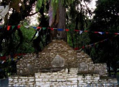 Tour Packages for Pelling- Yuksom- Okhrey (varsey Rhododendron Sentury).