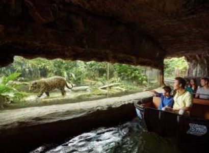 Singapore 4 Nights Package (2 Night Genting Dream Cruise)