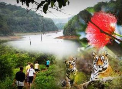 3 Night 4 Day Munnar - Thekkady Tour Package